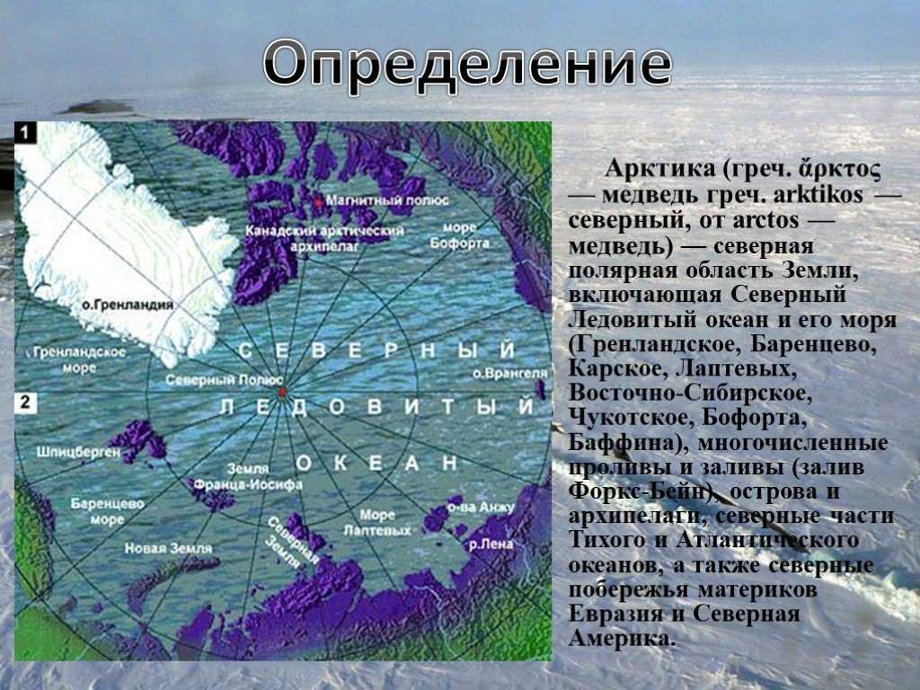 Чукотское море – климат карта рельеф дна фауна и вода чукотского моря - lowis