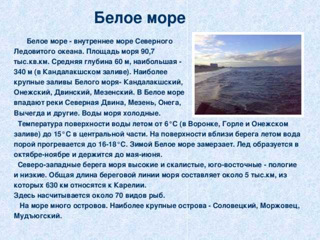 Берингово море: географическое положение, описание :: syl.ru