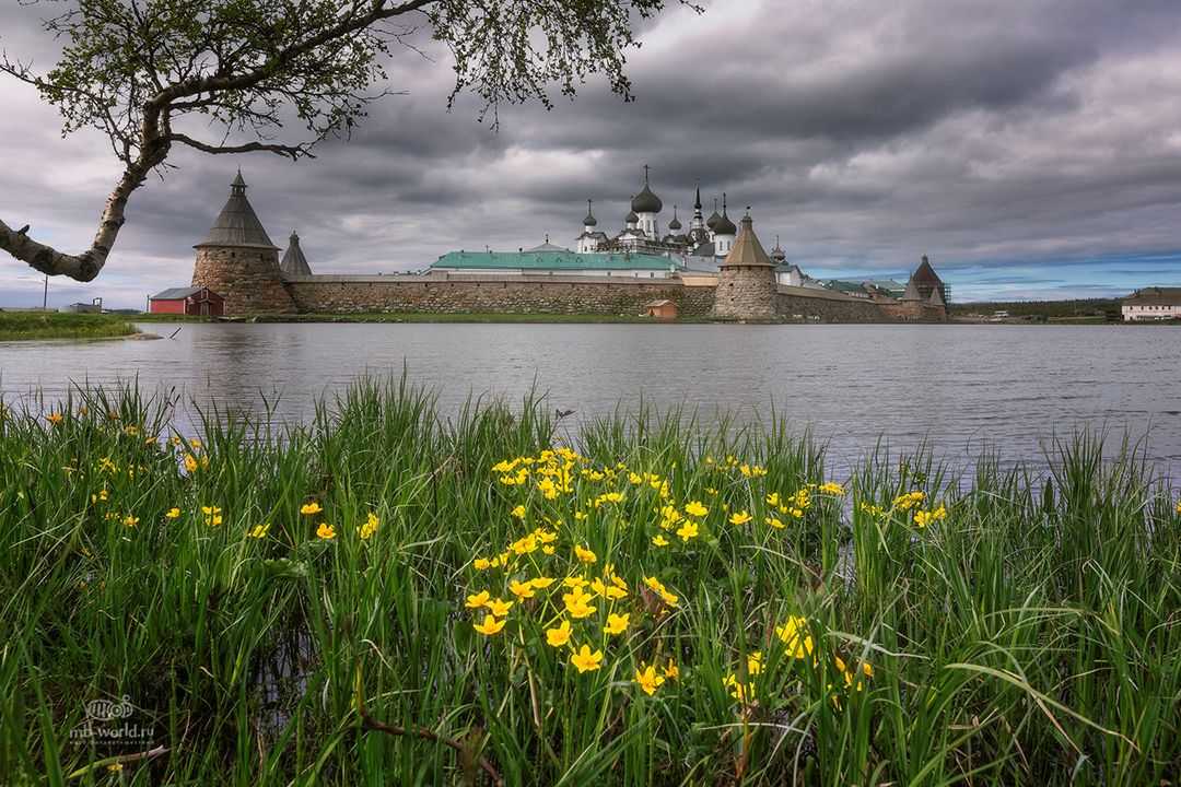 Соловецкие острова: чем известны, история и климат – в 2022 г. – соловецкие острова, экскурсии