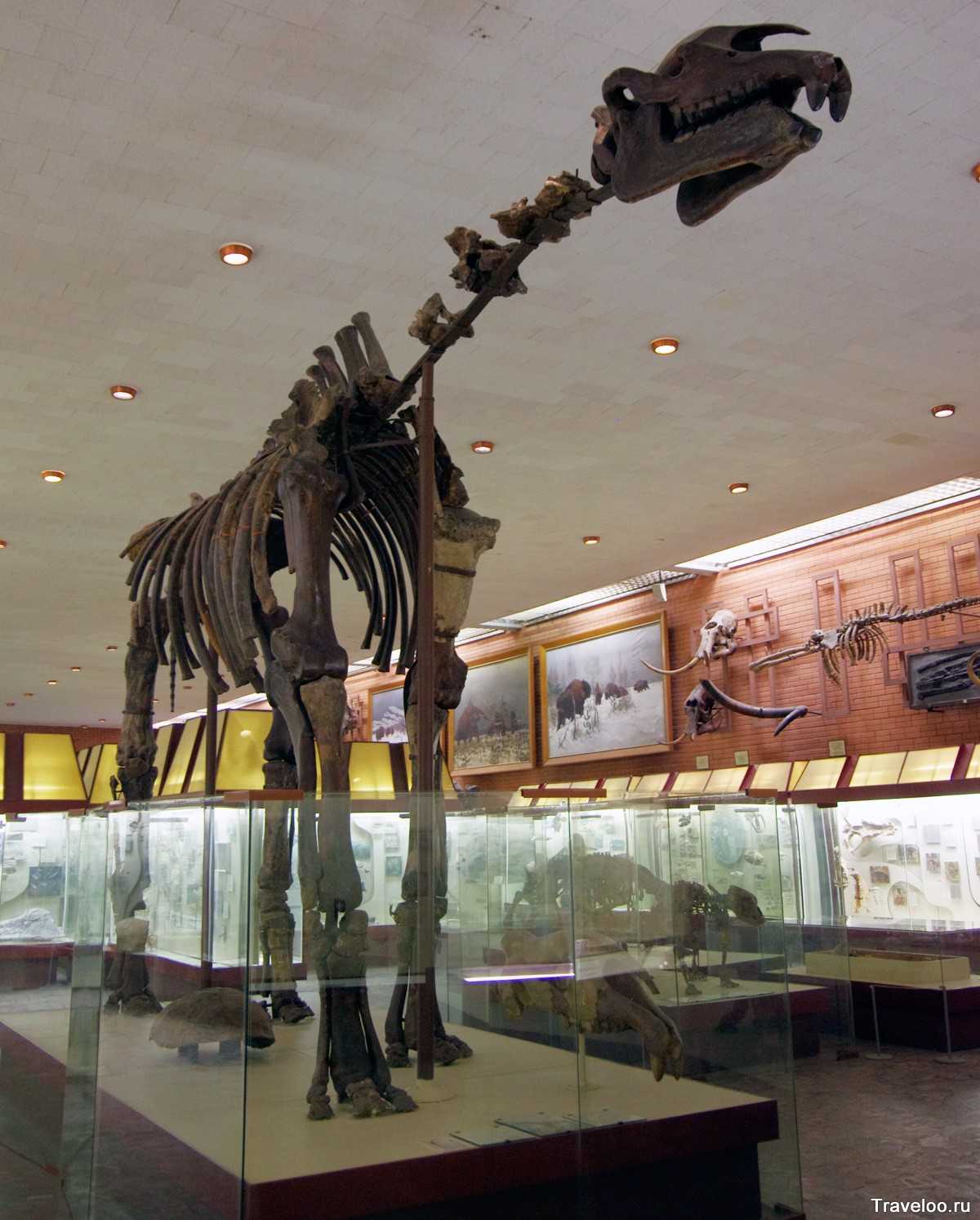 музей динозавров в минске адрес