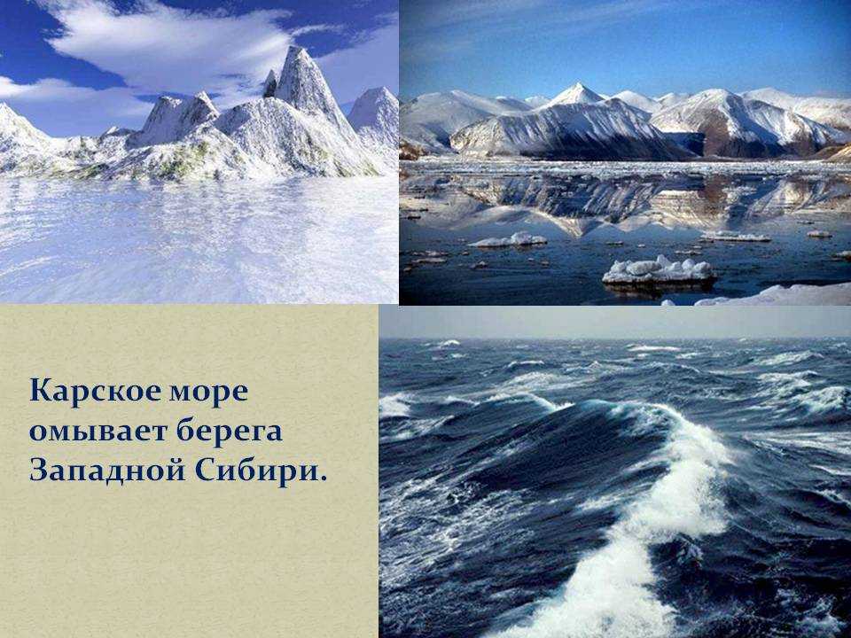Любой крупный полуостров омываемый водами карского моря. Карское море. Побережье Карского моря.