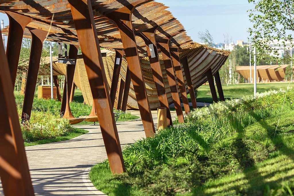 «сад будущего», «тюфелева роща» и другие: как благоустраивают парки с учетом пожеланий москвичей