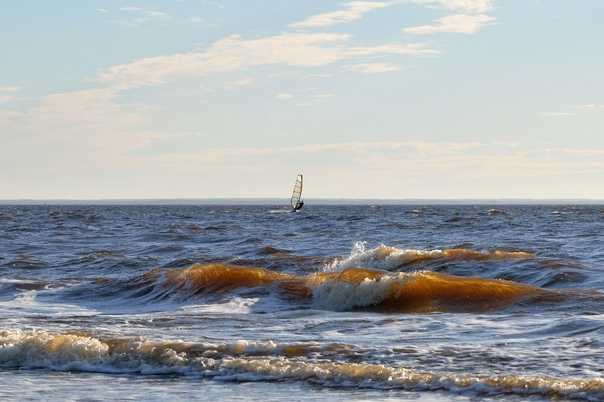 Белое море – карта, рельеф дна, флора и фауна белого моря - lowis