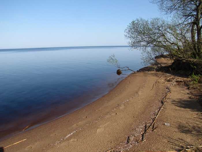 Озеро удвятское псковской области рыбалка