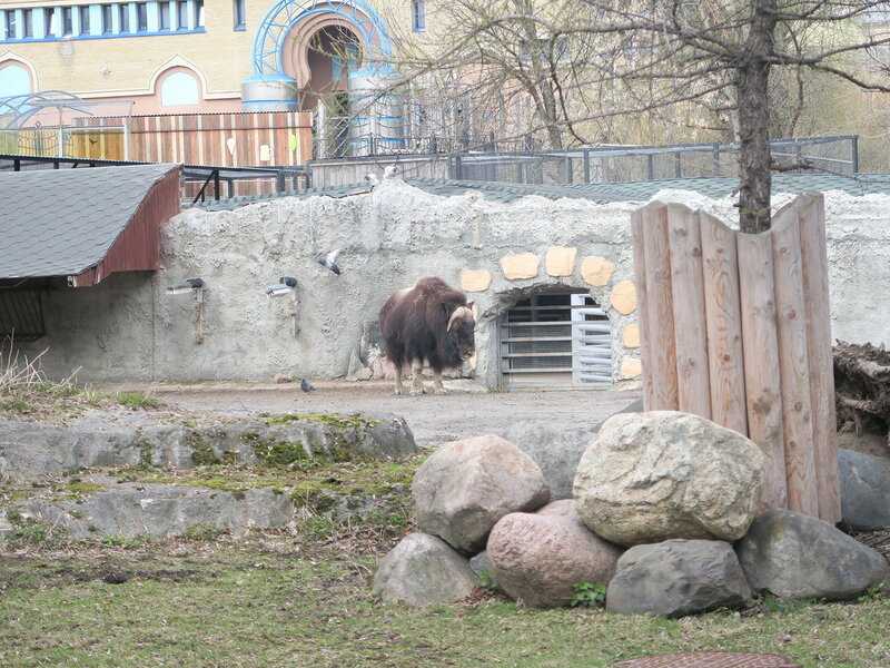 Московский зоопарк: история, описание, фото