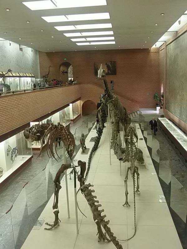 Музей динозавров в москве – окно в древний мир