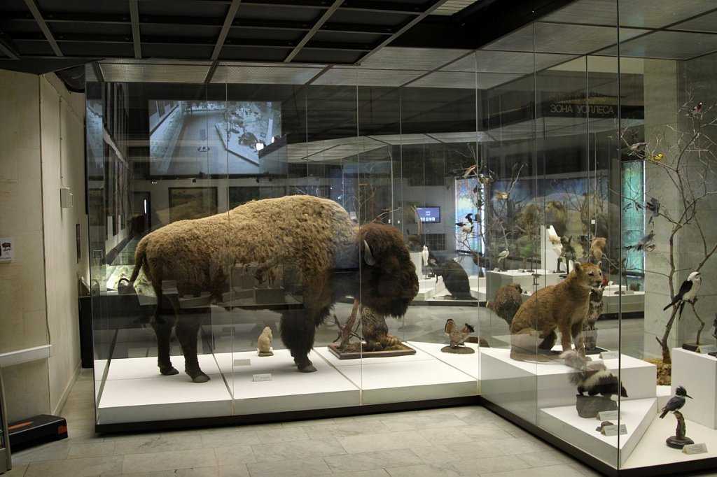 История музея
