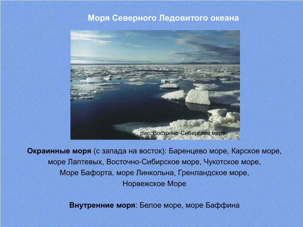 Внутренние моря ледовитого океана. Проект про море Лаптевых. Сообщение о белом море. Описание белого моря. Карское море факты.