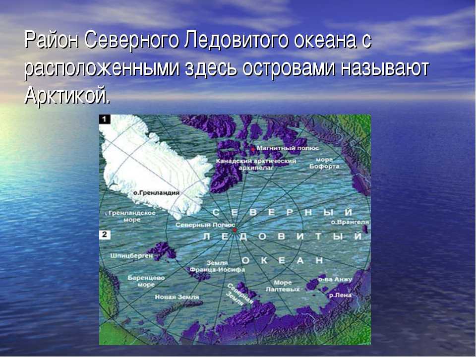 Моря северного ледовитого океана: список  🚩 естественные науки