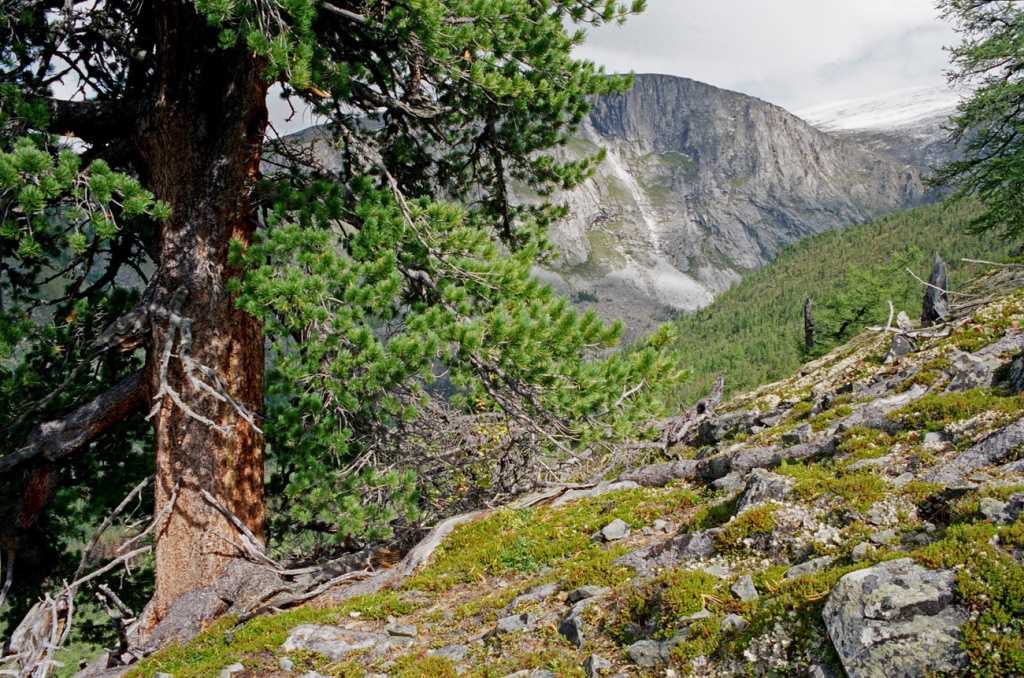 Алтайские горы - природное великолепие