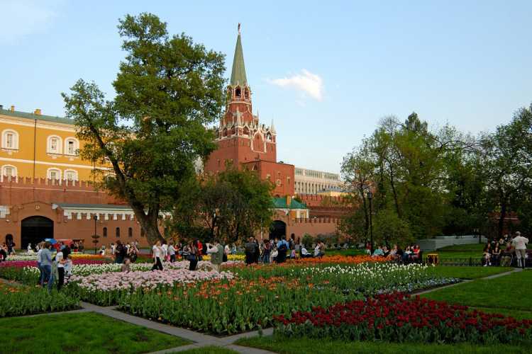 Александровский сад в москве: вечный огонь, манеж и другие достопримечательности
