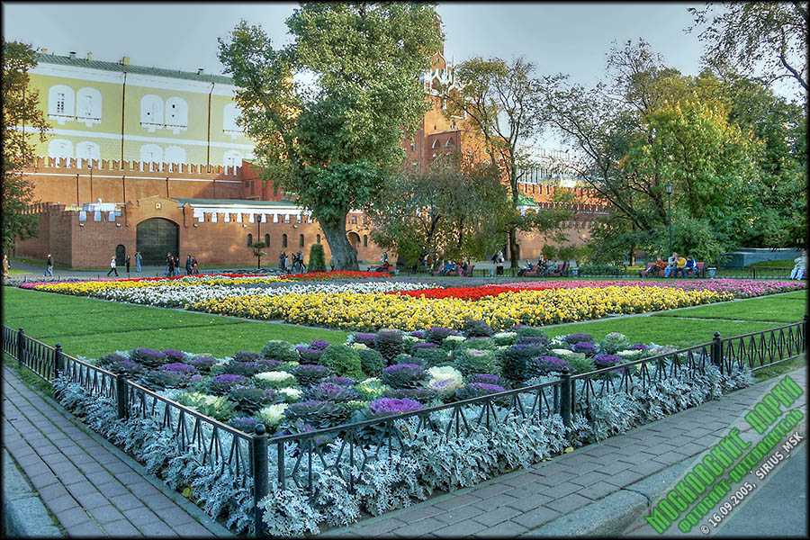 Александровский сад в москве: история, достопримечательности, как добраться