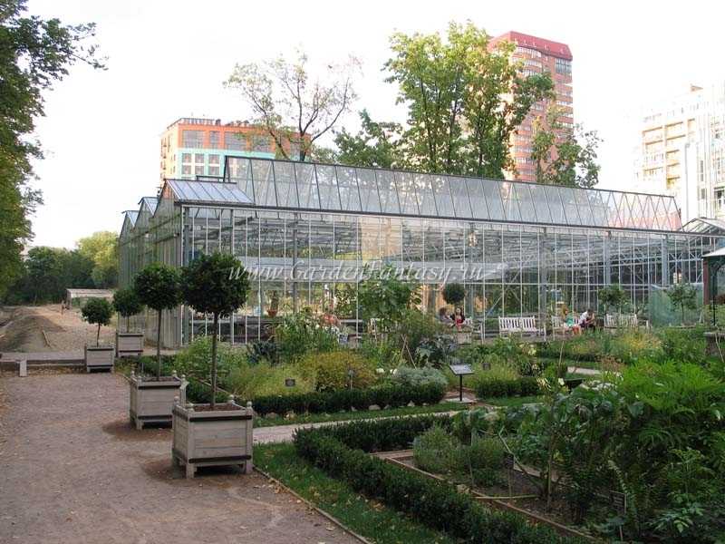 Аптекарский огородботанический сад мгу на проспекте мира