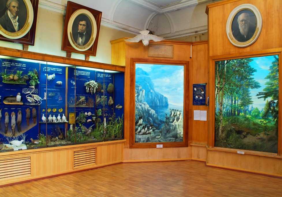 Биологический музей имени к.а. тимирязева: описание