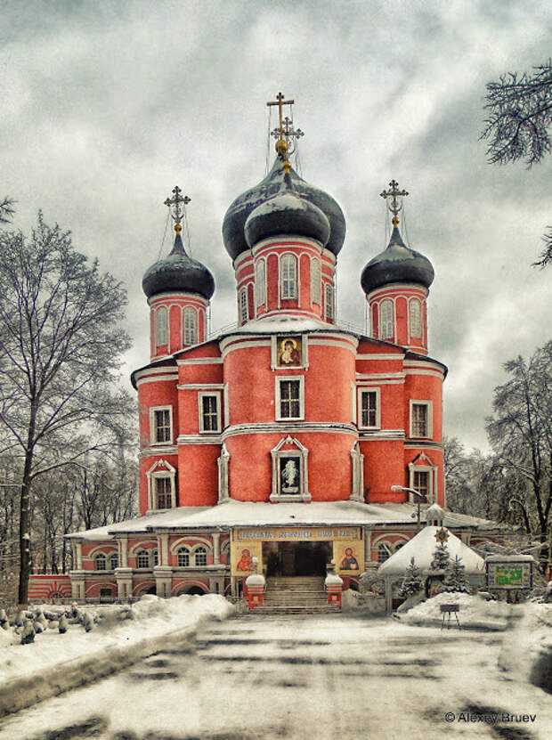 Московский донской монастырь - древо