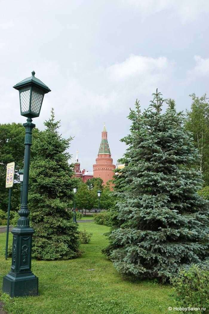 Александровский сад (москва) - вики