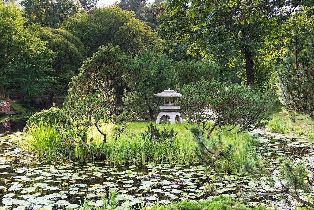 Фото японского сада в ботаническом саду в москве
