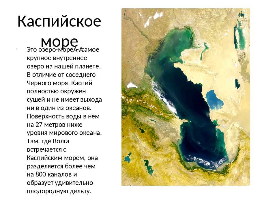 Каспийское море находится под угрозой исчезновения