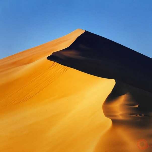 Россия в песке. самые красивые пустыни, дюны и барханы в стране: от якутии до калининградской области