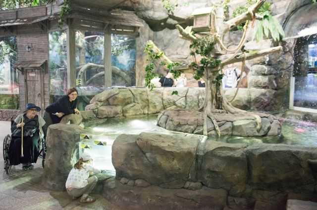 Московский зоопарк 2021: вся информация для туристов с детьми | parent-portal.ru