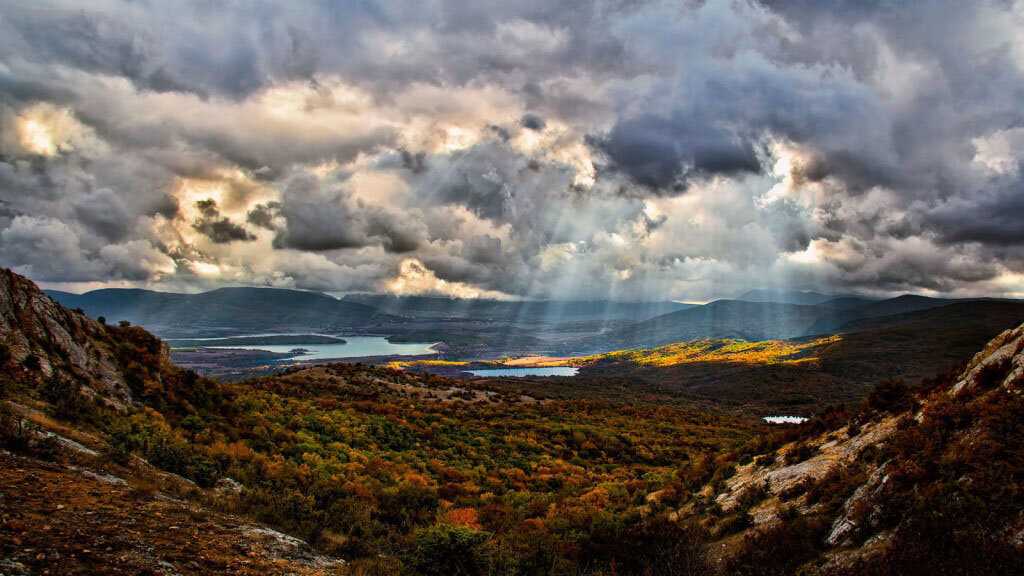 Долина лотосов в анапе: как добраться, где находится, фото, описание