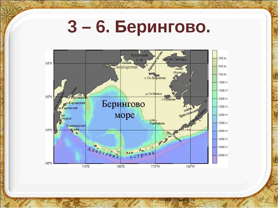 Берингово море. история открытия берингова моря
