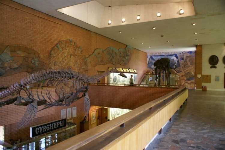 Палеонтологический музей москвы | страна мастеров