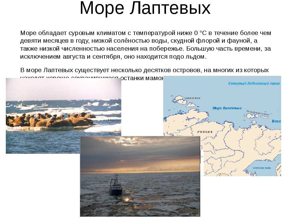 Чукотское море на карте, характеристики, особенности, флора и фауна кратко
