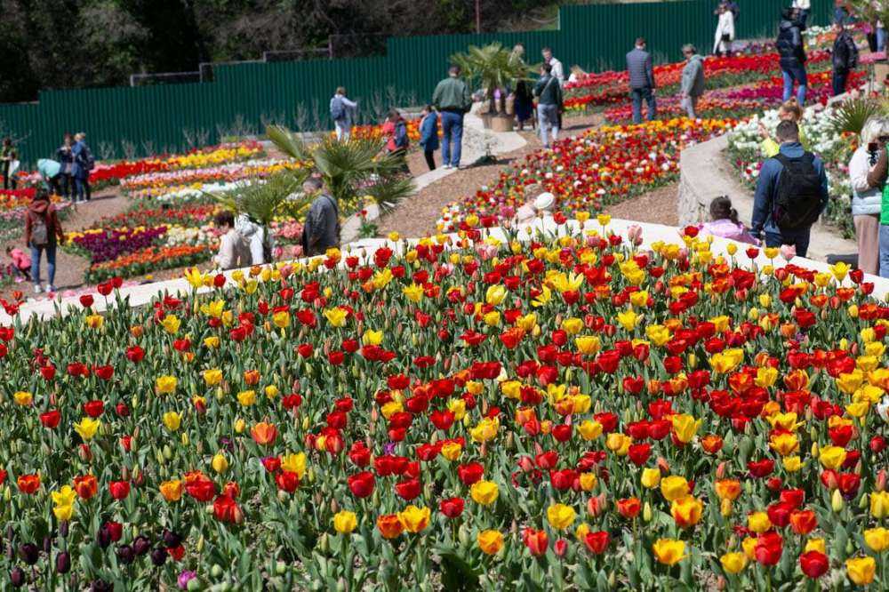 Никитский ботанический сад 2021 - выставки цветов, экскурсии