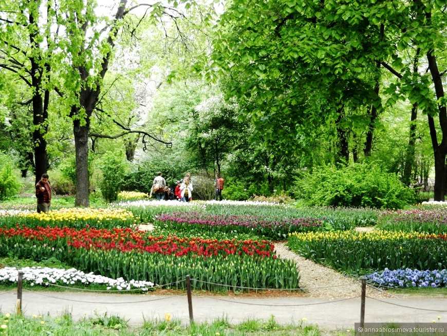 Аптекарский огород, ботанический сад у метро проспект мира