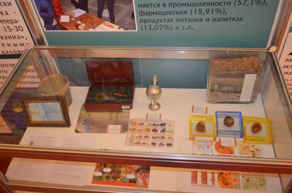 Калининград, музей янтаря: описание, история, экспозиции и отзывы :: syl.ru