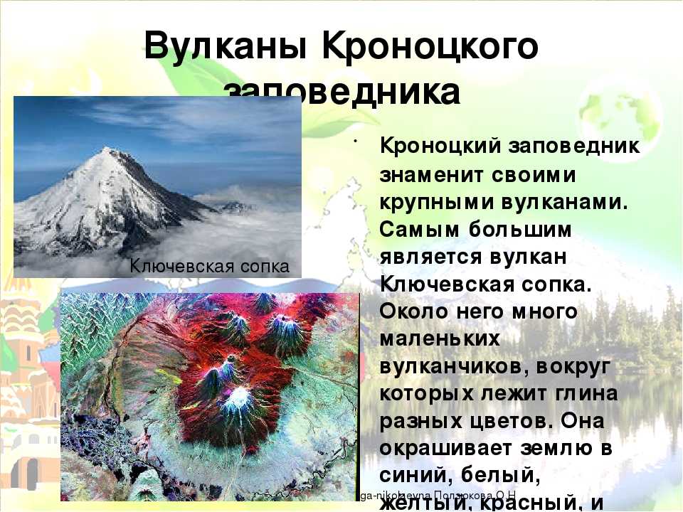 Кроноцкий заповедник на камчатке. животные, растения, гейзеры, фото, видео, сайт, экскурсии, как добраться на туристер.ру