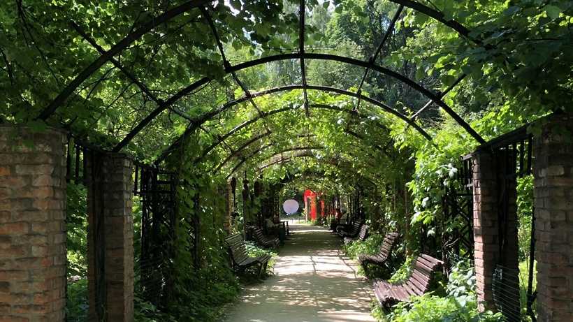 Ботанический сад «аптекарский огород» 2021: фото, часы работы, как добраться, что посмотреть | loratravels - образ жизни и путешествия